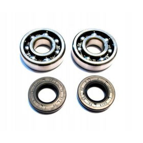 BEARING WORX Crankshaft bearings Sherco SE / SEF 450-510 08-16