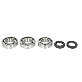4Ride Crankshaft Bearing Kit Polaris Big Boss / Hawkeye / Trail Boss / Xplorer 250-300cc 94-99