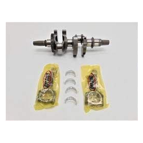 HOT RODS Crankshaft With Connecint rods Polaris RZR 900 11-20