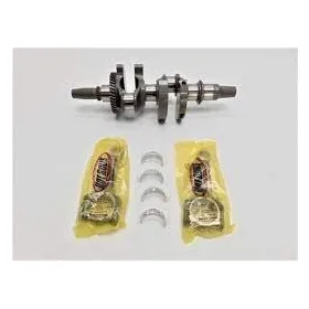 HOT RODS Crankshaft With Connecint rods Polaris RZR 900 11-20