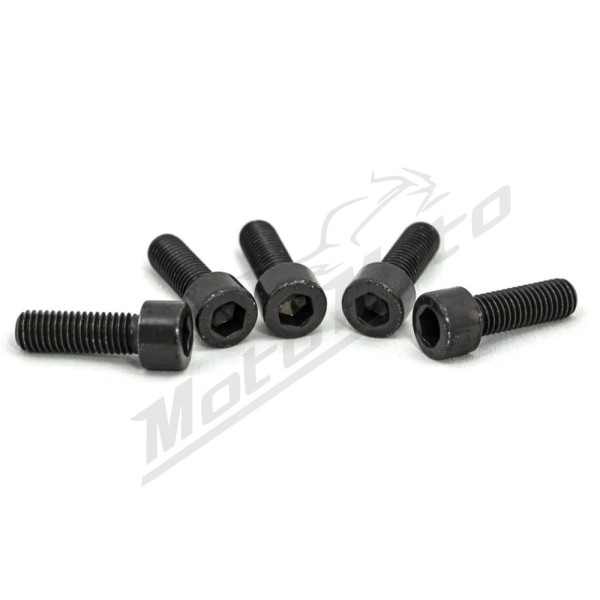 CULT WERK Front Fork Bridge Screws Harley Davidson 1250cc 2007-2017 5pcs