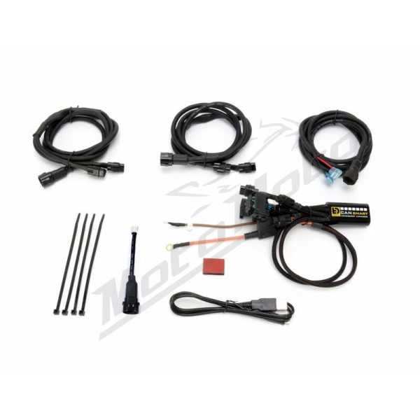 DENALI Cansmart Kit DL9 BMW GS / R / RT 1200/1250 13-24