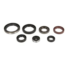 ATHENA Variklio tarpinių kompl. Husqvarna / KTM 250-300 93-23