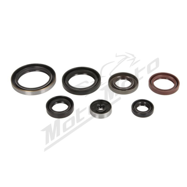 ATHENA Variklio tarpinių kompl. Husqvarna / KTM 250-300 93-23