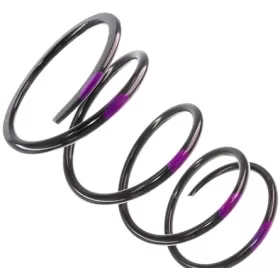 Team Spring Secundary 160-240 Venom SKI DOO Black / Purple