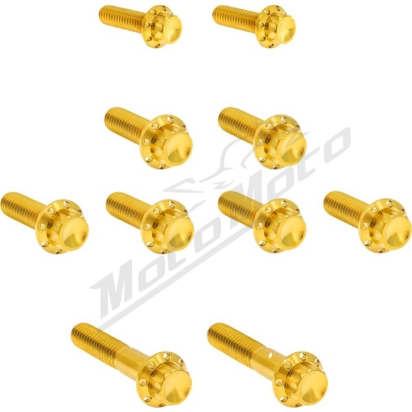ARLEN NESS Transmission Side Cover & Trap Door Titanium 12-Point Bolt Kit 12pcs. M8