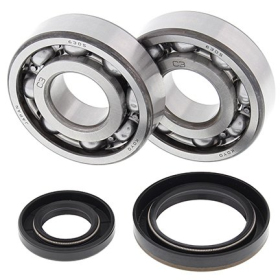 ALL BALLS Crankshaft bearings with seals Suzuki RM250 89-93