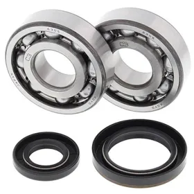 ALL BALLS Crankshaft bearings with seals Suzuki RM250 89-93