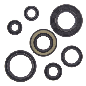 Winderosa (vertex) set of engine seals Yamaha YFS 200 Blaster 88–06