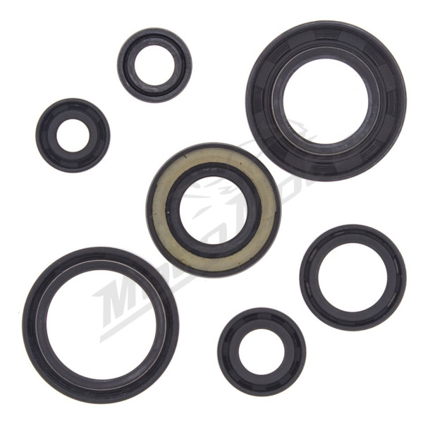 Winderosa (vertex) set of engine seals Yamaha YFS 200 Blaster 88–06