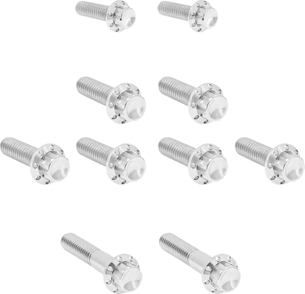 ARLEN NESS Transmission Side Cover & Trap Door Titanium 12-Point Bolt Kit 12pcs. M8