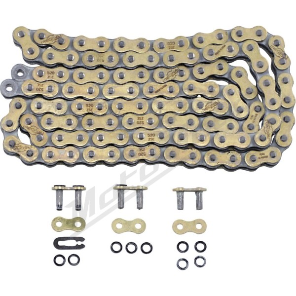 REGINA 520 ZSE Drive Chain 112 Links