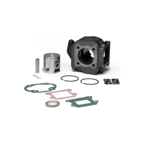 Cilindras MALOSSI Sport Ø47 Pirštas Ø10 Aprilia / Fantic / Italjet / MBK / Yamaha 50cc 89-16 AIR 2T
