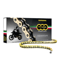 REGINA 520ZRE Chain 102 links