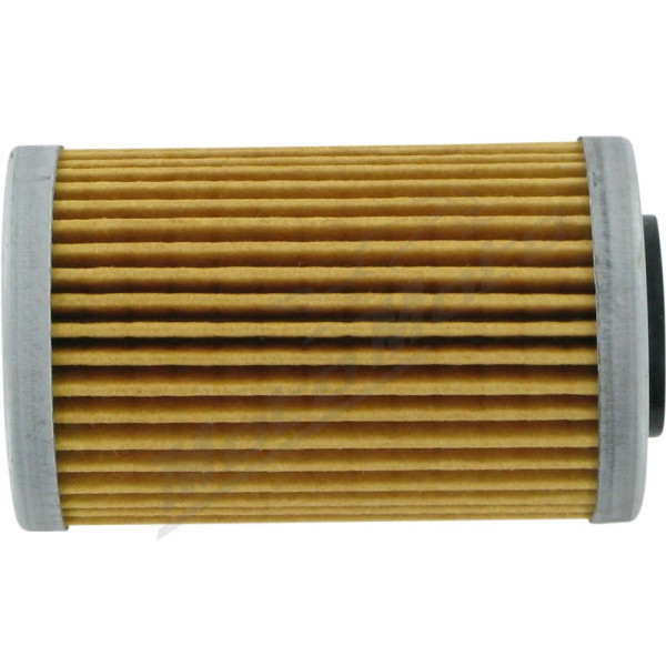 PARTS UNLIMITED Oil Filter BMW / KTM 250-500cc 69-16