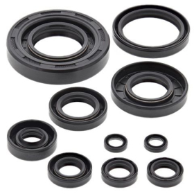 Winderosa (vertex) set (set) of engine seals Yamaha YZ 250 02-22