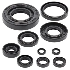 Winderosa (vertex) set (set) of engine seals Yamaha YZ 250 02-22