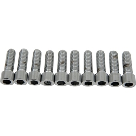 DRAG SPECIALTIES Socket-Head Bolts M8 x 1,25 (length 25,4 mm) 10pcs.