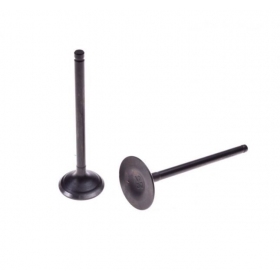 Valve kit CROSS 250cc