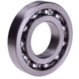 Bearing (open type) MAXTUNED 16004 20x42x8