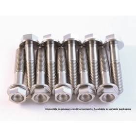 SCAR Titanium Screw Kit M6x75 By 1 (length 75mm) 1pc.