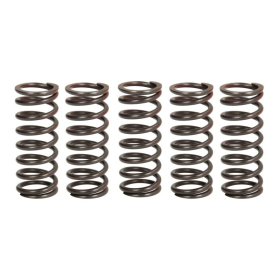 TRW Clutch springs set Kawasaki KLX / KX 450 05-18