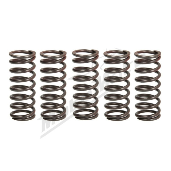 TRW Clutch springs set Kawasaki KLX / KX 450 05-18