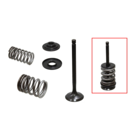 Psychic exhaust valve set (28. 5x6x92. 5mm) Yamaha TW / TT-R 200-230cc 87-16