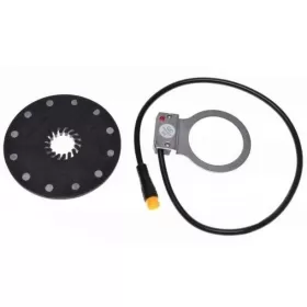 Electric kick scooter sesor