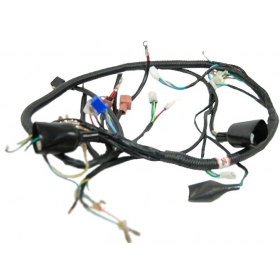 WIRING HARNESS ASSY CPI GTX 125