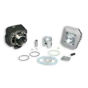 Cylinder kit MALOSSI Sport Ø47 Pin Ø12 Daelim / Honda / Kymco / Sym 50cc 88-12 AIR 2T