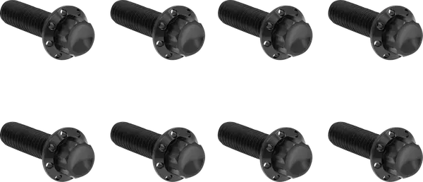 Arlen Ness Set Of Bolts For The Transmission Side Cover Black Harley Davidson FLDE / FLFB 1584-1977cc 07-25