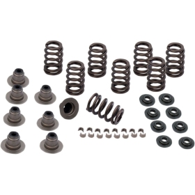 S&S CYCLE 0.605" Heavy Duty Valve Spring Kit Harley Davidson FLDE / FLFB / FLFBS 1750-1977cc 17-25