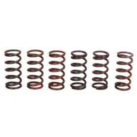 TRW Clutch springs set Kawasaki ZX-10R 1000 04-15