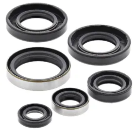 Winderosa (vertex) set (set) of engine seals KTM SX / XC 65 98-08