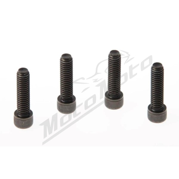 CULT WERK Handlebar Clamp Screw Harley DavidsonHarley Davidson 4pcs