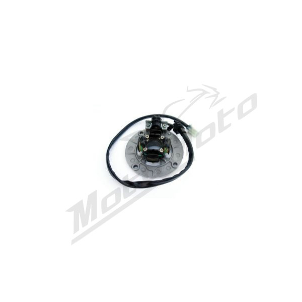 Electrex Generatorius Yamaha YZF 250-450cc 98-11