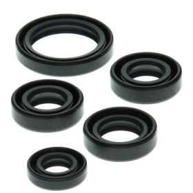 Winderosa (vertex) set (set) of engine seals Kawasaki KLF 220-250 88-11