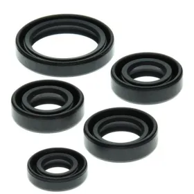 Winderosa (vertex) set (set) of engine seals Kawasaki KLF 220-250 88-11