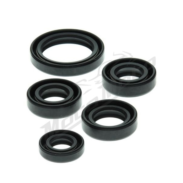 Winderosa (vertex) set (set) of engine seals Kawasaki KLF 220-250 88-11