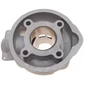 Cylinder kit AM6 LC 50cc / Ø40.3 / PIN Ø12