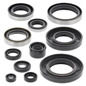 Winderosa set of engine seals Kawasaki KX 250 93-03