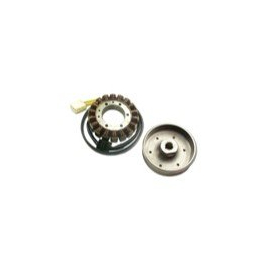 ELECTREX Stator Honda CBR 900 RR Fireblade 2000-2001