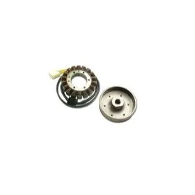 ELECTREX Stator Honda CBR 900 RR Fireblade 2000-2001