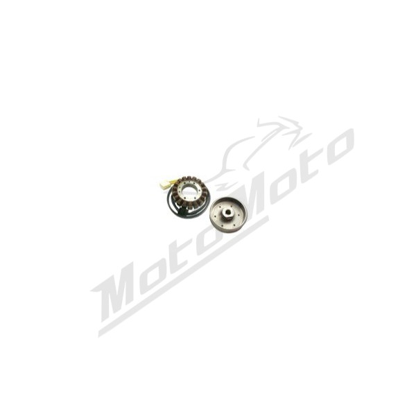 ELECTREX Stator Honda CBR 900 RR Fireblade 2000-2001