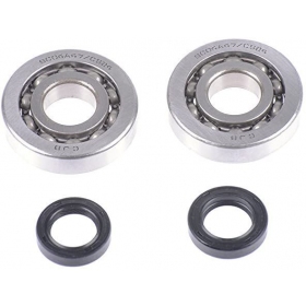 Crankshaft bearing, seals kit RMS PIAGGIO / GILERA 50 2T