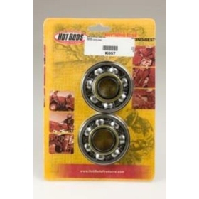 HOT RODS Crankshaft Bearing & Oil Seal Kit SUZUKI RM 250 2005-2008