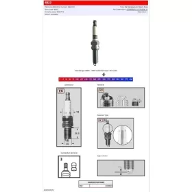 CHAMPION S-Plug CAN AM / Honda / Husqvarna / Triumph / Yamaha 300-1200 07-17 REK6YC