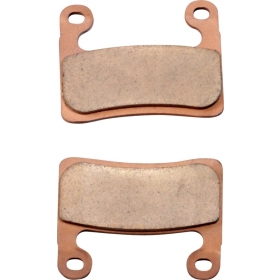 DP BRAKES Standard DP Sintered Brake Pads BMW R / S 1000-1250cc 18-24