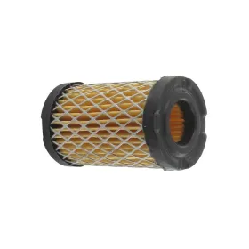 Eurogarden Air filter Tecumseh TVS / TC / ECV-H35